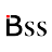 Logo BSS
